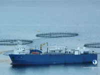 Kühlschiff zu verkaufen