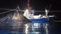 Trawler zu verkaufen