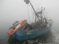 Purse-Seiner zu verkaufen