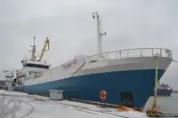 Purse-Seiner zu verkaufen