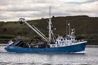 Purse-Seiner zu verkaufen