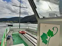 Kreuzfahrtschiff zu verkaufen