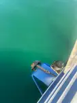 Fährschiff zu verkaufen