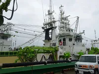 Purse-Seiner zu verkaufen