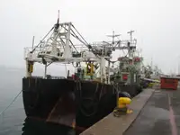 Trawler zu verkaufen