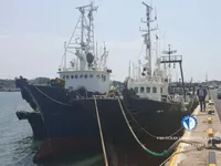 Trawler zu verkaufen