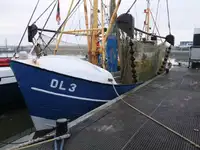 Trawler zu verkaufen