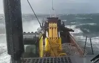 Bagger zu verkaufen
