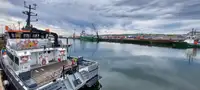 Katamaran zu verkaufen