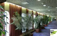 Ro-Ro ship zu verkaufen