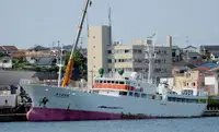 Trawler zu verkaufen