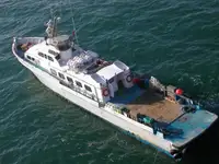 Crew-Boot zu verkaufen