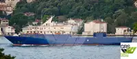 Ro-Ro ship zu verkaufen