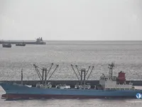 Kühlschiff zu verkaufen