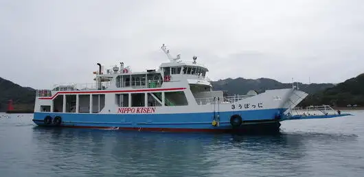 Ro-Ro-Schiff zu verkaufen
