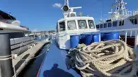 Patrouillenboot zu verkaufen