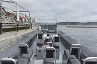 Festrumpf-Schlauchboot zu verkaufen