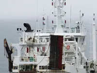 Trawler zu verkaufen