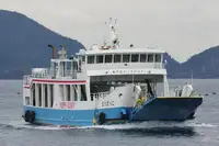 Ro-Ro-Schiff zu verkaufen