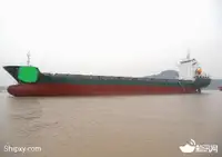 Containerschiff zu verkaufen