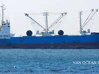Kühlschiff zu verkaufen