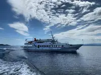 Kreuzfahrtschiff zu verkaufen