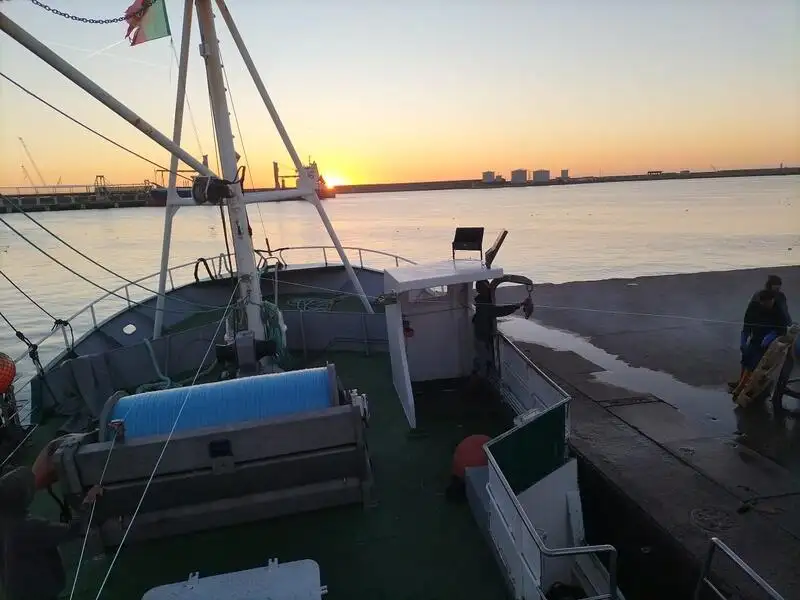 Trawler zu verkaufen
