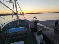 Trawler zu verkaufen