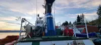 Schleppboot zu verkaufen