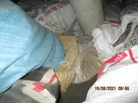 Trawler zu verkaufen