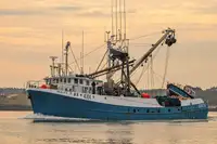 Purse seiner zu verkaufen