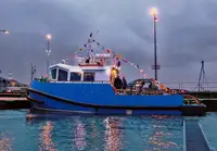 Schleppboot zu verkaufen