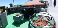 Schleppboot zu verkaufen