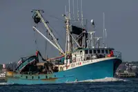 Purse seiner zu verkaufen