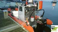 Festrumpf-Schlauchboot zu verkaufen