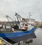 Lebendfischtransporter zu verkaufen