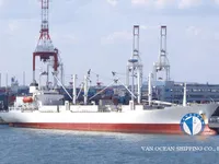 Kühlschiff zu verkaufen
