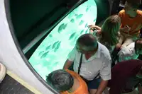 U-Boot zu verkaufen