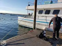 Fährschiff zu verkaufen