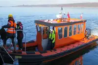 Festrumpf-Schlauchboot zu verkaufen