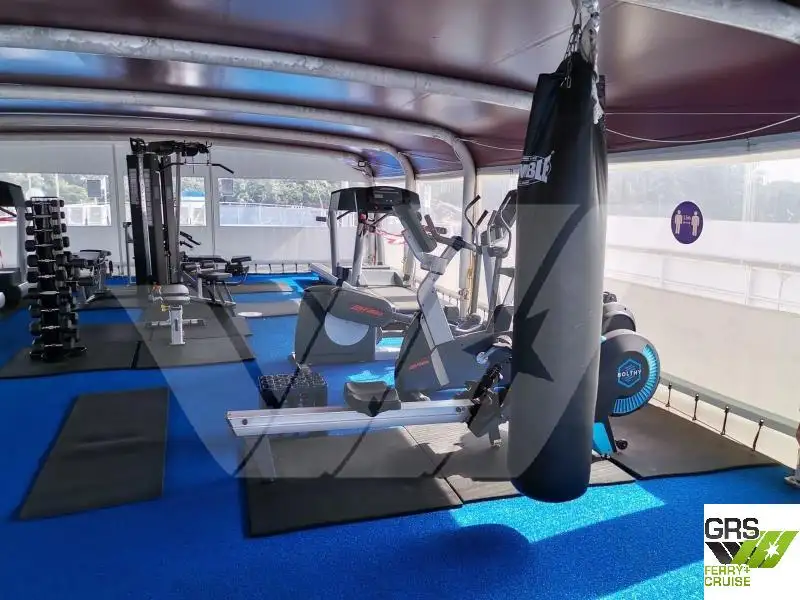 Kreuzfahrtschiff zu verkaufen