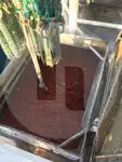 Beam-Trawler zu verkaufen