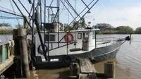 Trawler zu verkaufen