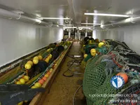 Trawler zu verkaufen