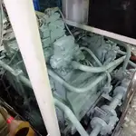 Purse-Seiner zu verkaufen