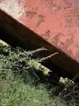 Barges zu verkaufen