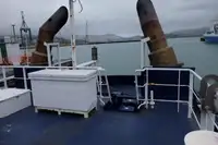 Schleppboot zu verkaufen