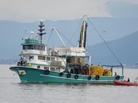 Purse-Seiner zu verkaufen