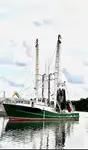 Trawler zu verkaufen