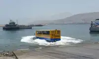 Amphibisch zu verkaufen
